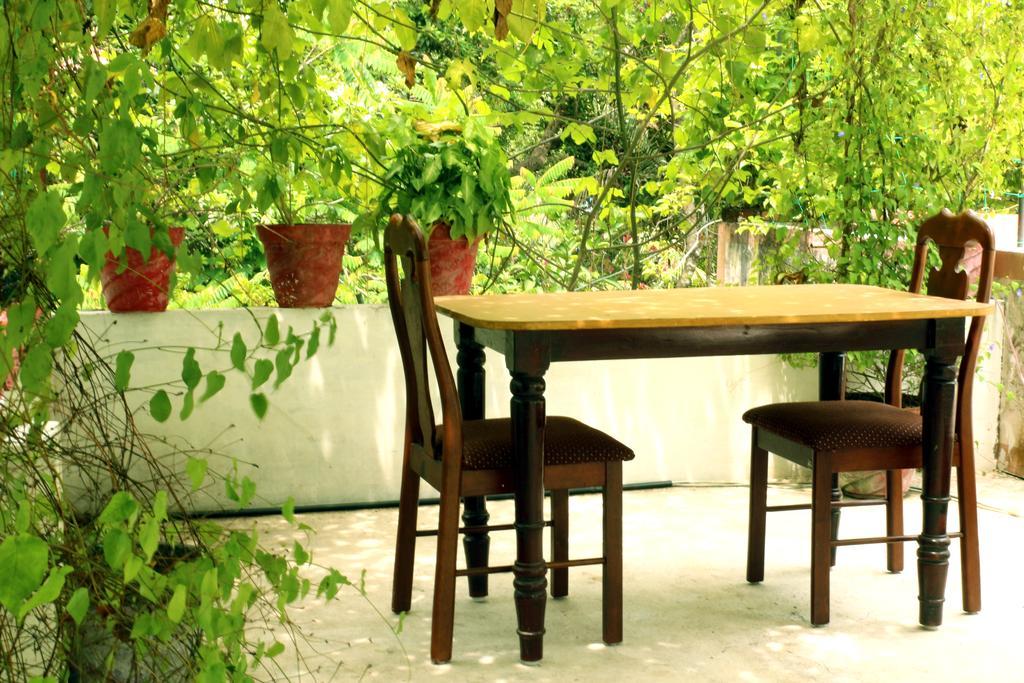 Marari Beach Pearl Homestay ماراريكولام المظهر الخارجي الصورة