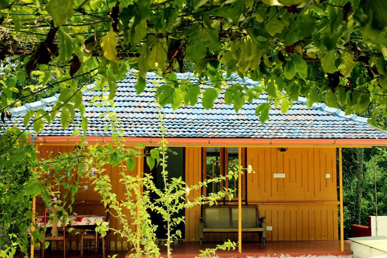 Marari Beach Pearl Homestay ماراريكولام المظهر الخارجي الصورة