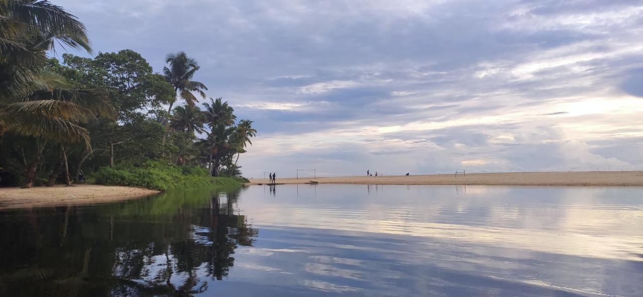 Marari Beach Pearl Homestay ماراريكولام المظهر الخارجي الصورة